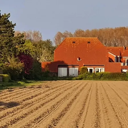 Dreas Huus *
